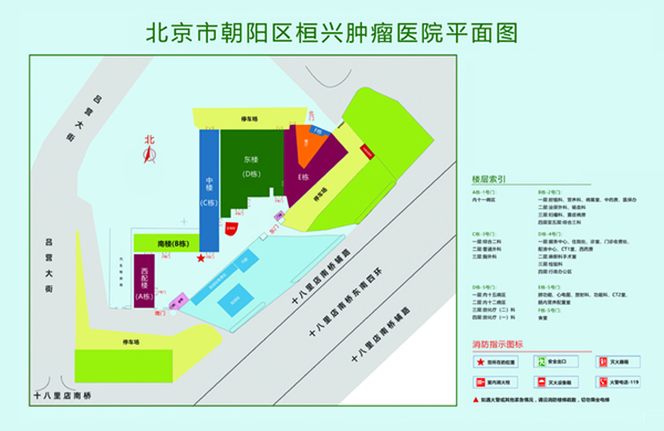 欧美日本操逼北京市朝阳区桓兴肿瘤医院平面图